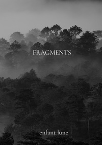 Vorderes Coverbild Fragments