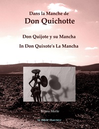 Vorderes Coverbild Dans la Manche de Don Quichotte