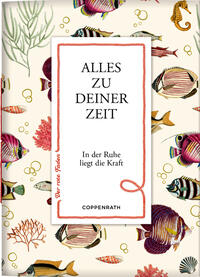 Vorderes Coverbild Alles zu deiner Zeit