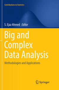 Vorderes Coverbild Big and Complex Data Analysis