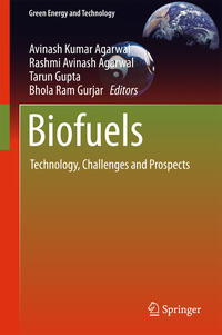 Vorderes Coverbild Biofuels