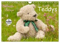 Vorderes Coverbild Geliebte Bären - Teddys (Wandkalender 2025 DIN A4 quer), CALVENDO Monatskalender