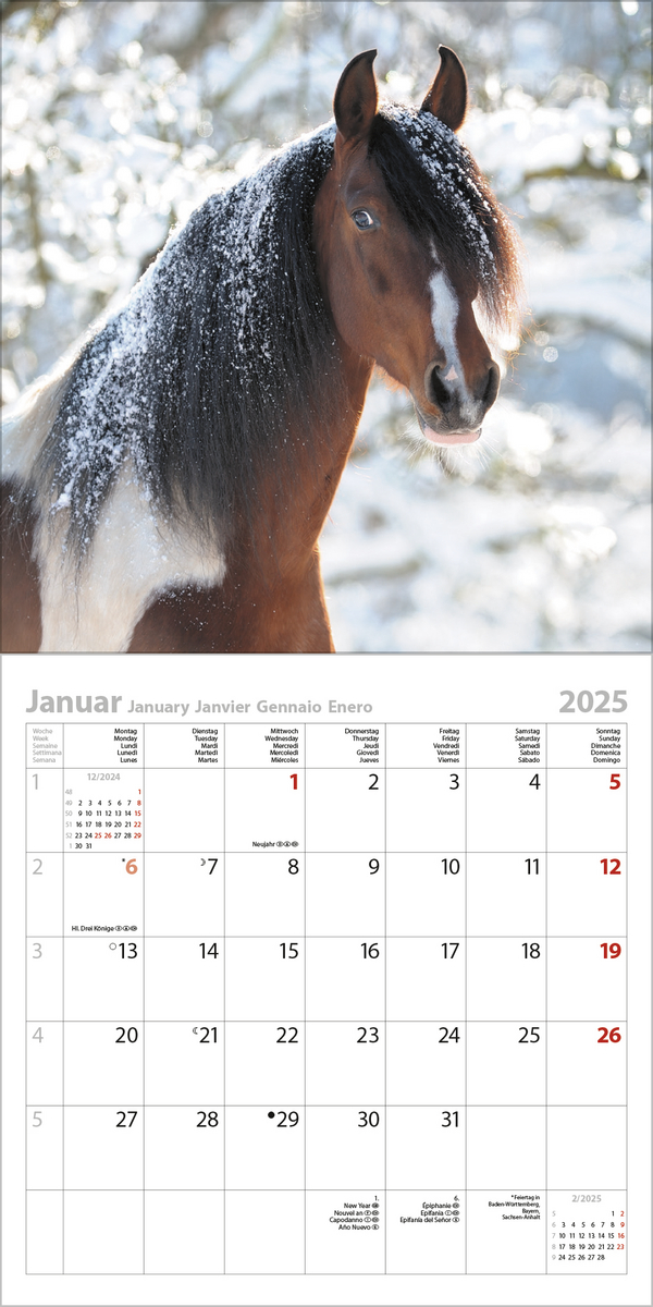 Beispielinhalt (Bild) Horses 2025