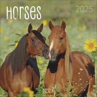 Vorderes Coverbild Horses 2025