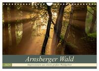 Vorderes Coverbild Arnsberger Wald (Wandkalender 2025 DIN A4 quer), CALVENDO Monatskalender