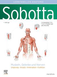 Vorderes Coverbild Sobotta Lerntabellen Anatomie Muskeln, Gelenke und Nerven