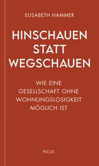 Vorderes Coverbild Hinschauen statt wegschauen
