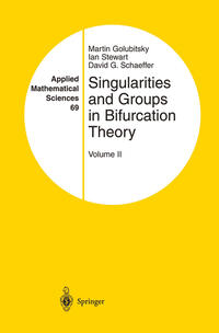 Vorderes Coverbild Singularities and Groups in Bifurcation Theory