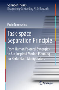 Vorderes Coverbild Task-space Separation Principle