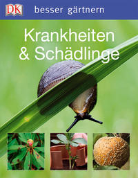 Vorderes Coverbild Krankheiten & Schädlinge
