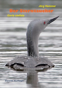 Vorderes Coverbild Der Sterntaucher