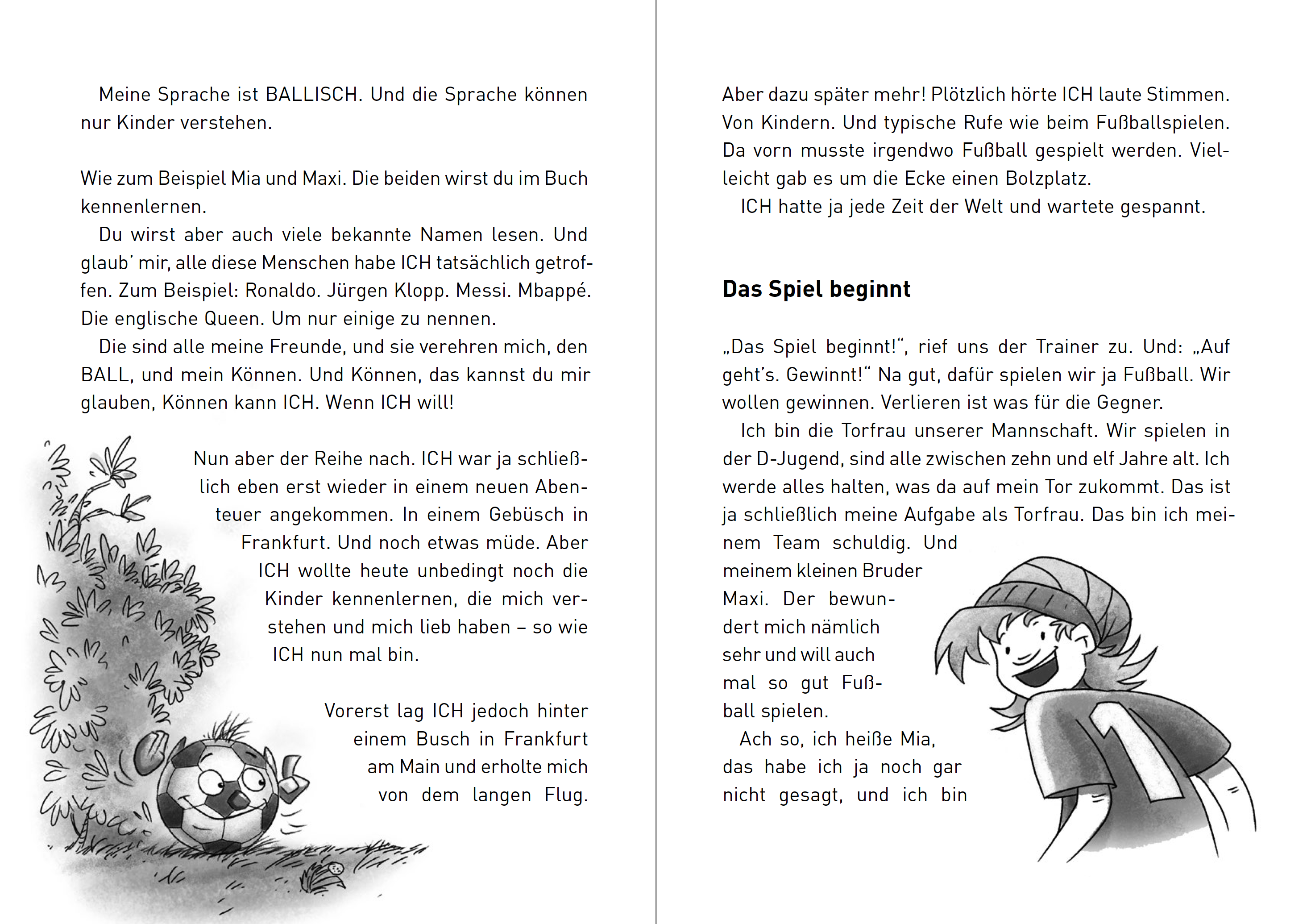 Beispielinhalt (Bild) Ich Ball
