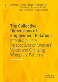 Vorderes Coverbild The Collective Dimensions of Employment Relations
