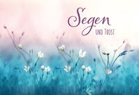 Vorderes Coverbild Segen und Trost