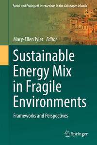 Vorderes Coverbild Sustainable Energy Mix in Fragile Environments