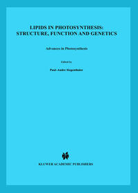 Vorderes Coverbild Lipids in Photosynthesis: Structure, Function and Genetics