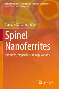 Vorderes Coverbild Spinel Nanoferrites