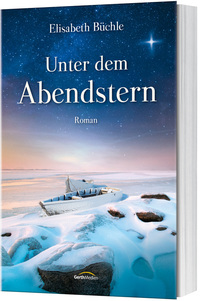 Vorderes Coverbild Unter dem Abendstern