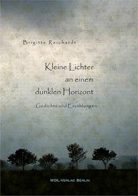 Vorderes Coverbild Kleine Lichter am Horizont