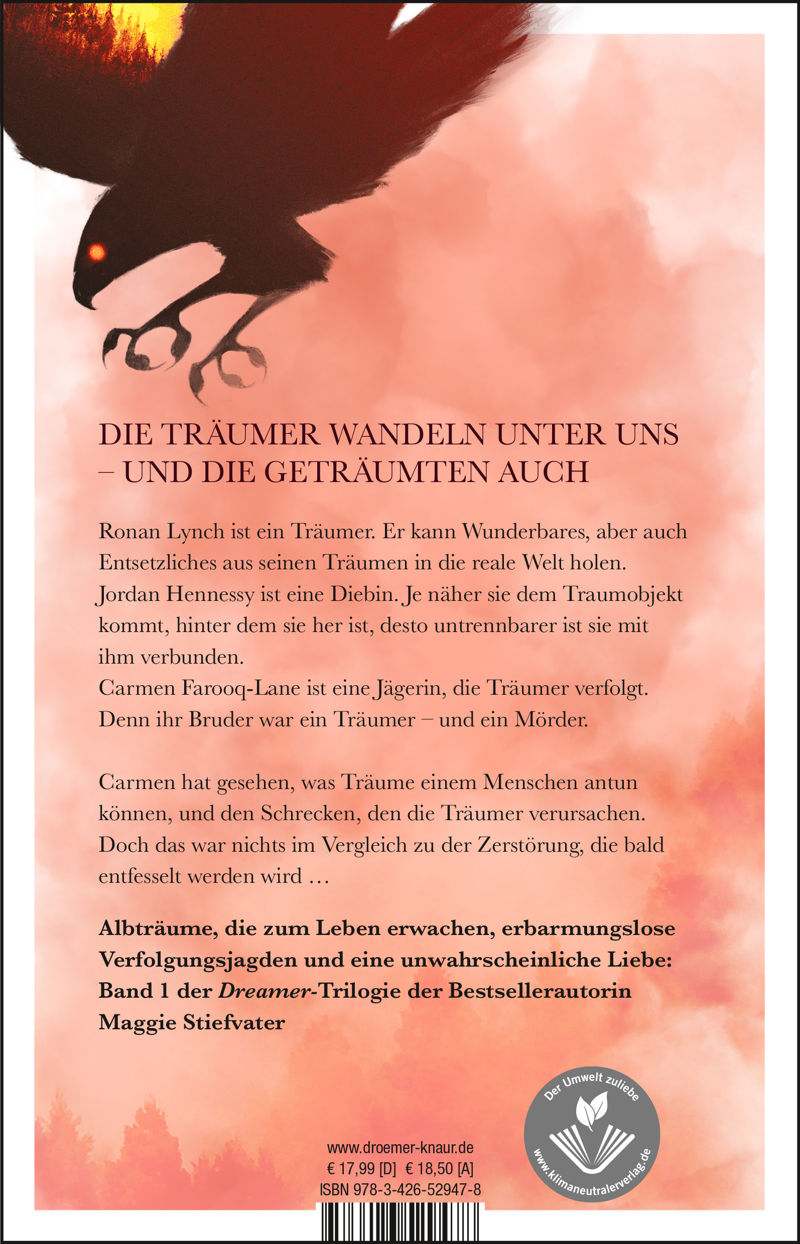 Rückseitencover Wie der Falke fliegt