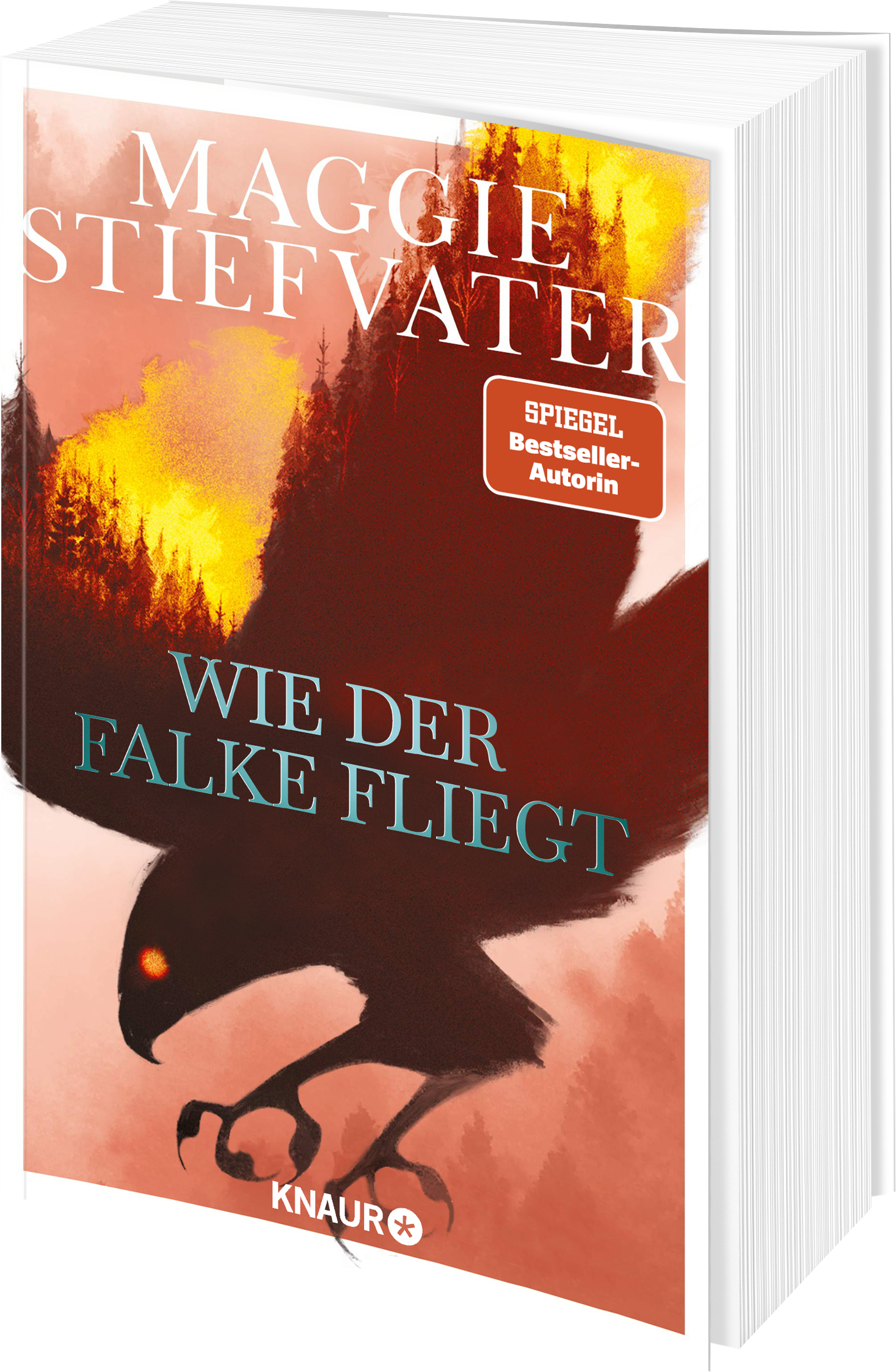 Anderes Coverbild Wie der Falke fliegt