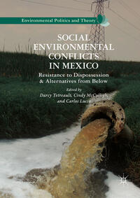 Vorderes Coverbild Social Environmental Conflicts in Mexico