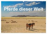 Vorderes Coverbild Pferde dieser Welt (Wandkalender 2025 DIN A2 quer), CALVENDO Monatskalender