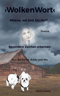 Vorderes Coverbild WolkenWort