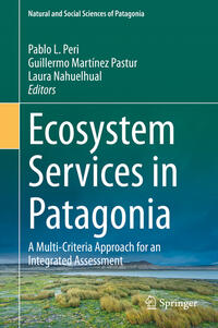 Vorderes Coverbild Ecosystem Services in Patagonia