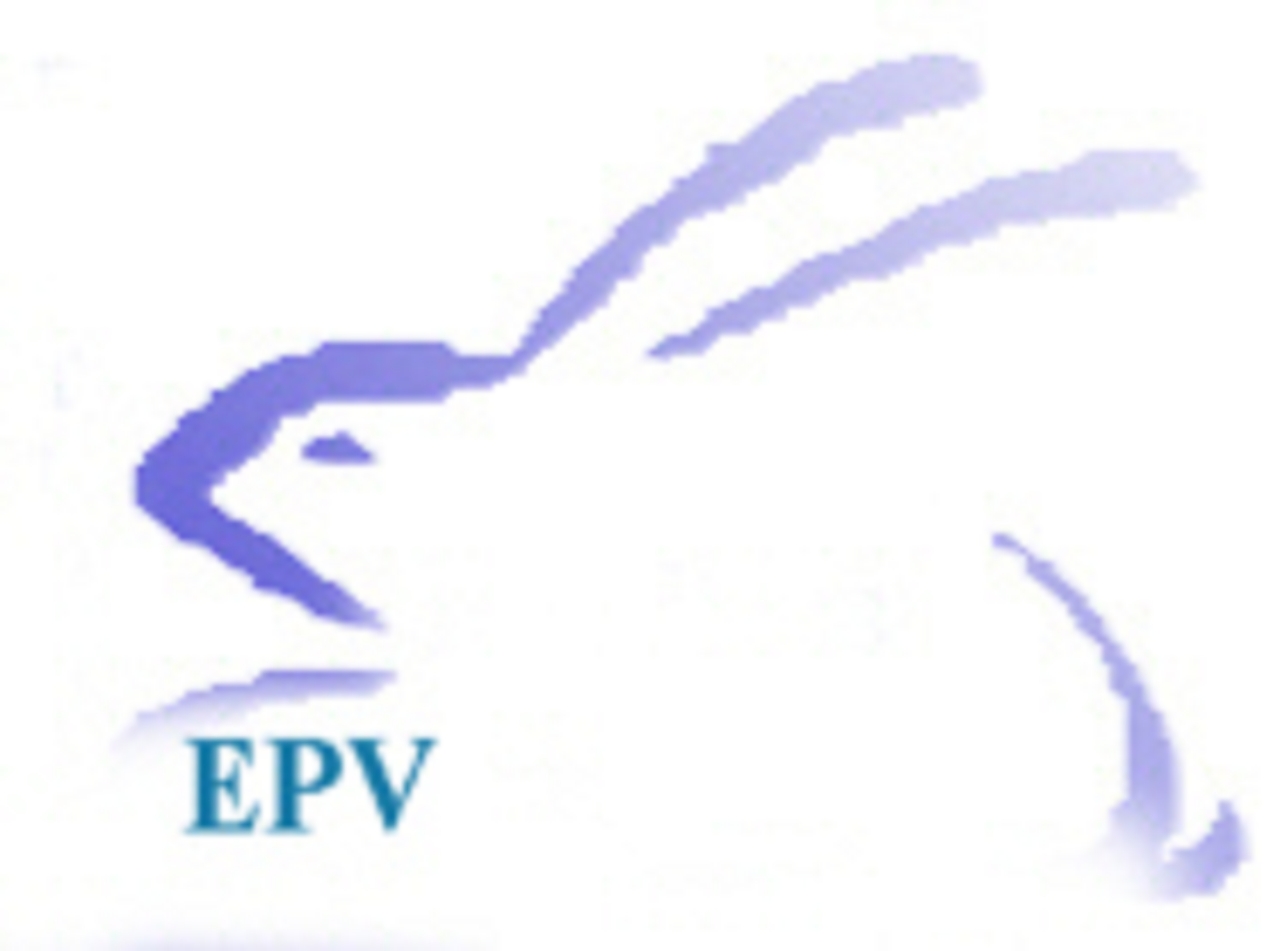 Verlagslogo Jagd auf das Chamäleon