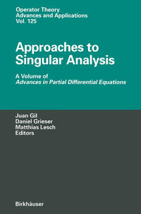 Vorderes Coverbild Approaches to Singular Analysis