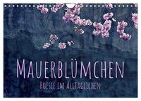 Vorderes Coverbild Mauerblümchen - Poesie im Alltäglichen (Wandkalender 2025 DIN A4 quer), CALVENDO Monatskalender