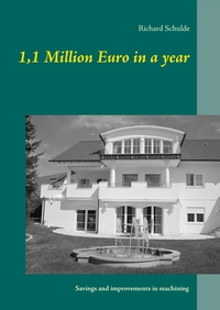 Vorderes Coverbild 1,1 Million Euro in a year