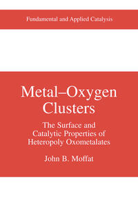 Vorderes Coverbild Metal-Oxygen Clusters