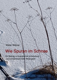 Vorderes Coverbild Wie Spuren im Schnee
