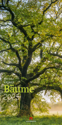 Vorderes Coverbild Bäume Kalender 2025