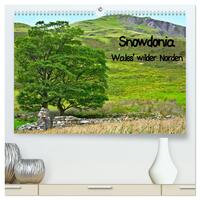 Vorderes Coverbild Snowdonia - Wales' wilder Norden (hochwertiger Premium Wandkalender 2025 DIN A2 quer), Kunstdruck in Hochglanz