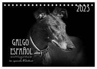 Vorderes Coverbild Galgo Español - der spanische Windhund 2025 (Tischkalender 2025 DIN A5 quer), CALVENDO Monatskalender