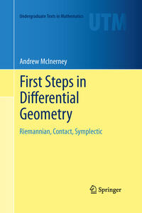 Vorderes Coverbild First Steps in Differential Geometry