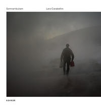Vorderes Coverbild Lara Ciarabellini