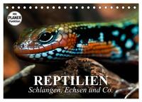 Vorderes Coverbild Reptilien. Schlangen, Echsen und Co. (Tischkalender 2025 DIN A5 quer), CALVENDO Monatskalender