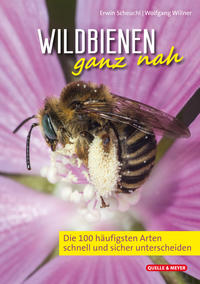 Vorderes Coverbild Wildbienen ganz nah