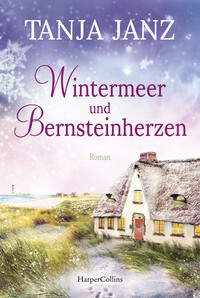 Vorderes Coverbild Wintermeer und Bernsteinherzen