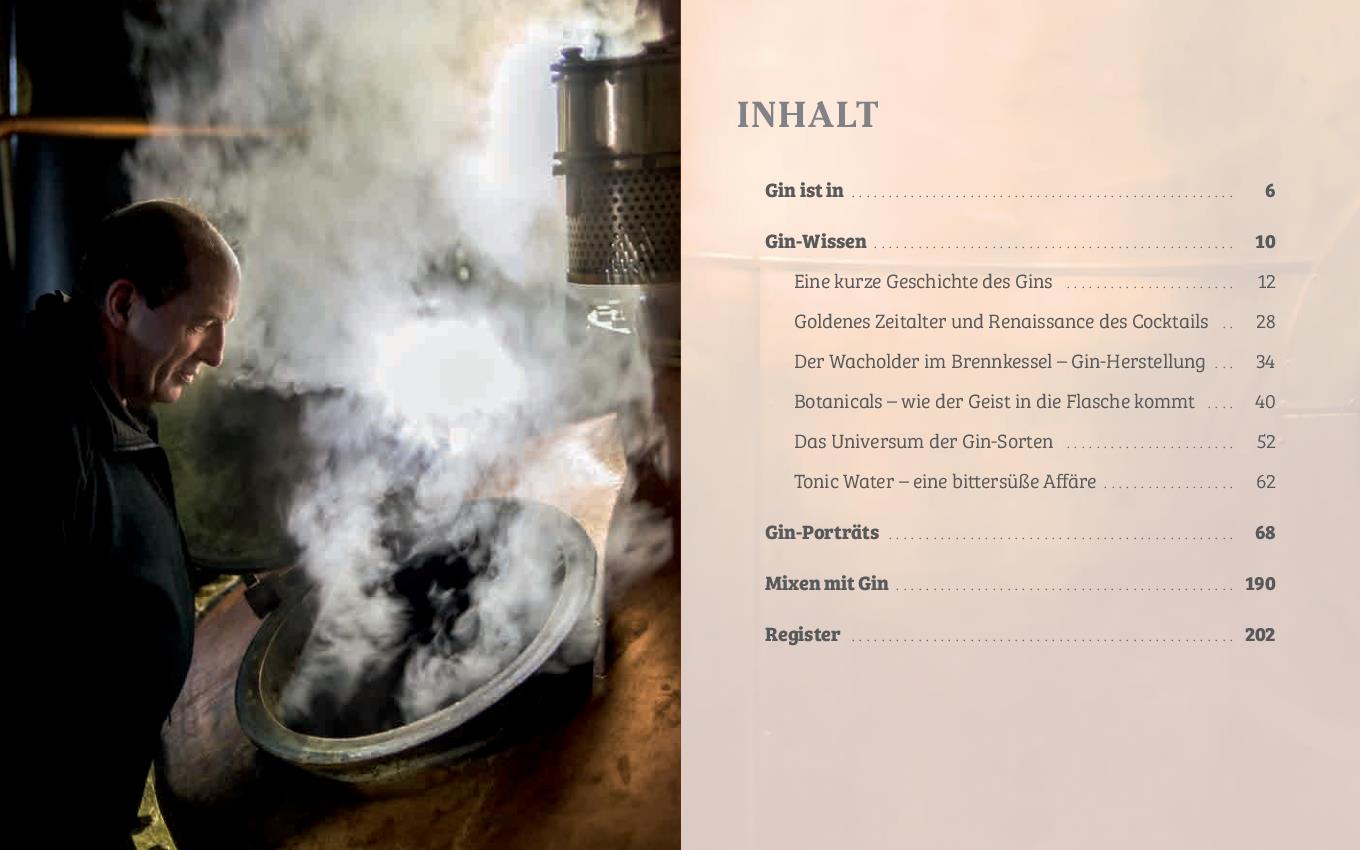 Beispielinhalt (Bild) Gin