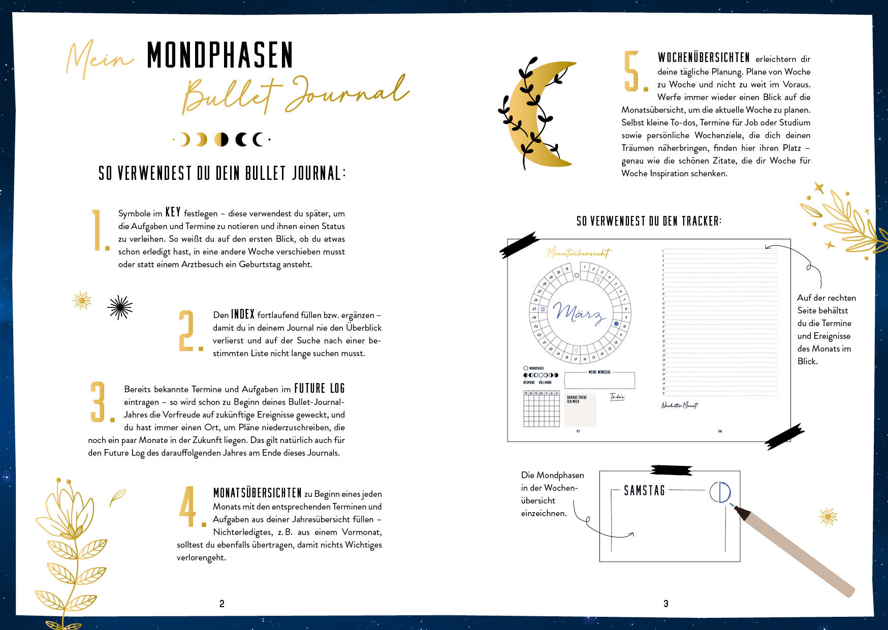 Beispielinhalt (Bild) Mein Mondphasen-Journal