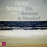 Vorderes Coverbild Ein Sommer in Niendorf