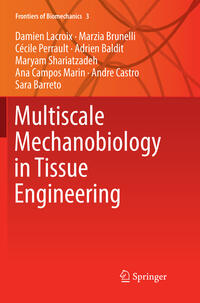 Vorderes Coverbild Multiscale Mechanobiology in Tissue Engineering