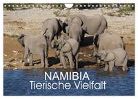 Vorderes Coverbild Namibia - Tierische Vielfalt (Wandkalender 2025 DIN A4 quer), CALVENDO Monatskalender