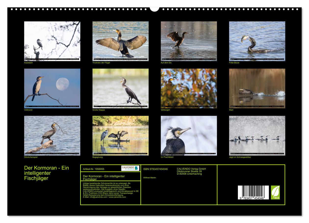 Beispielinhalt (Bild) Der Kormoran - Ein intelligenter Fischjäger (hochwertiger Premium Wandkalender 2026 DIN A2 quer), Kunstdruck in Hochglanz