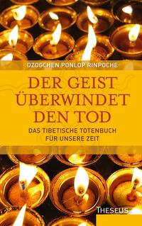 Vorderes Coverbild Der Geist überwindet den Tod